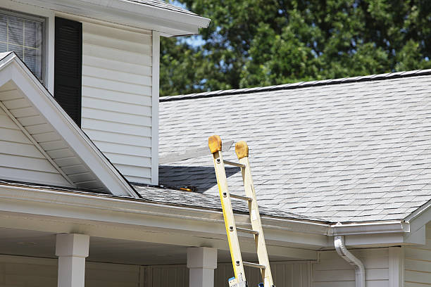 Best Weatherproofing and Sealing  in Brilliant, AL